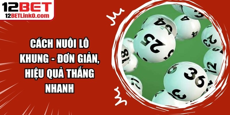 Cách Nuôi Lô Khung - Đơn Giản, Hiệu Quả Thắng Nhanh 1 Cách Nuôi Lô Khung
